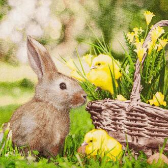 Serviette de Pâques Lapin et Poussin