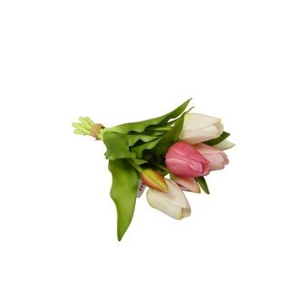 Kunststoff Tulpenbund Paperbag/x7