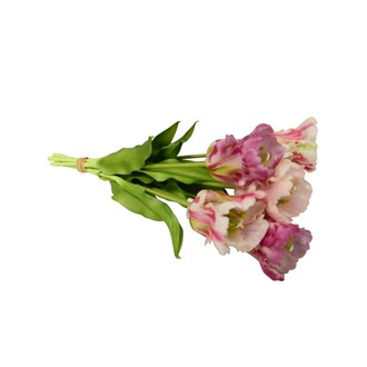 Kunststoff Tulpenbund Papagei/x6