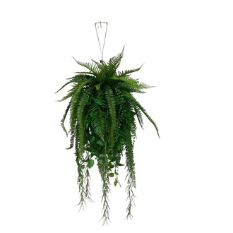 Kunststoff Kugel Farnmix