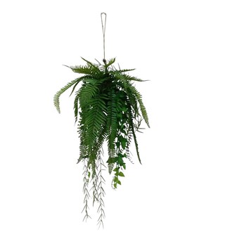 Kunststoff Kugel Farnmix