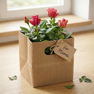 Papier Tasche Natur/Wellpappe