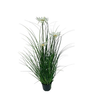 plastique herbe en fleurs Margarite/x3