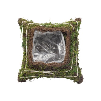 Reben Pflanzkissen Mossy