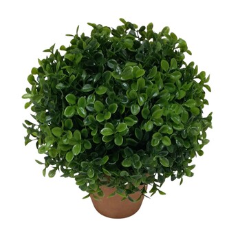 plastique Buchsbaum Vert