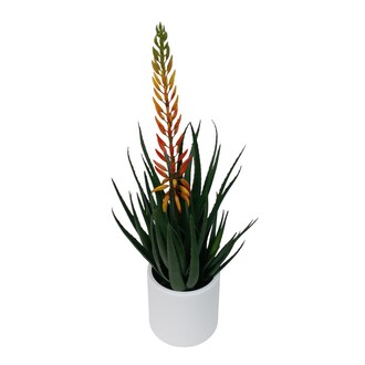 Kunststoff Aloe Flower