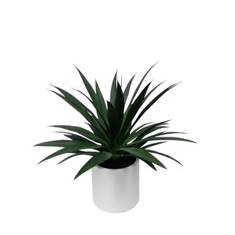 Kunststoff Agave Green