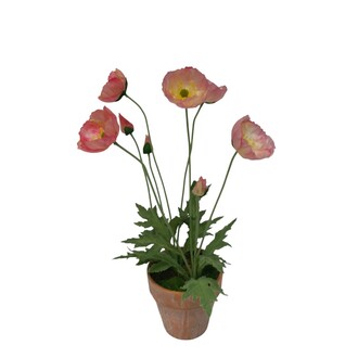 Kunststoff Mohn Terratopf