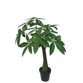 Kunststoff Baum Pachira