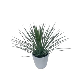 Kunststoff Pflanze Hystrix