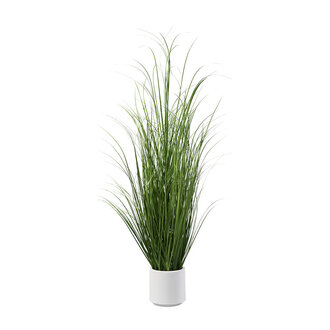 plastique buisson d'herbe White Pot