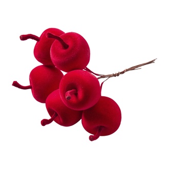 Apfel Ruby