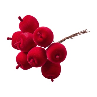 Apfel Ruby