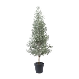 Kunststoff Zederbaum Cedrus