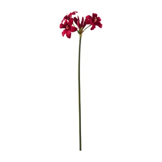 Kunststoff Amaryllis Rubio