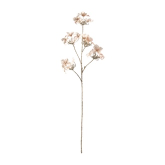 plastique branche fleurie Tellerhortensie