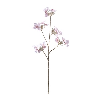 plastique branche fleurie Tellerhortensie