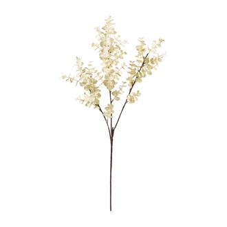 plastique branche d'eucalyptus Sydney