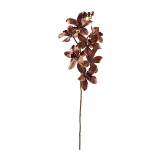 plastic Orchid branch Cymbidium