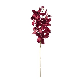 plastique branche d'orchidée Cymbidium
