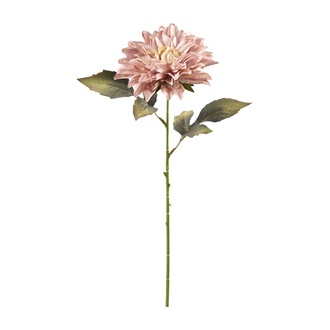 plastique Cueillette de dahlias Ricky