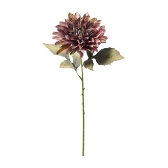 plastique Cueillette de dahlias Ricky