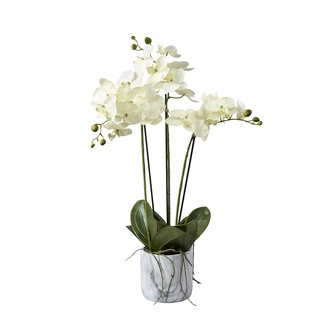 Kunststoff Orchidee Amelie