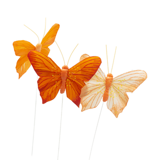 Feder Schmetterling Puppy