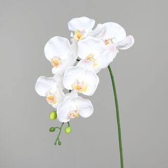Kunststoff Phalaenopsis Avalon