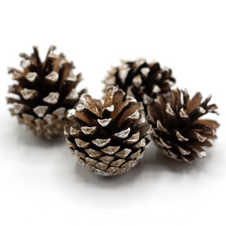  Zapfen "Pinie" L=3-4 cm 1 kg weiß gewaschen 