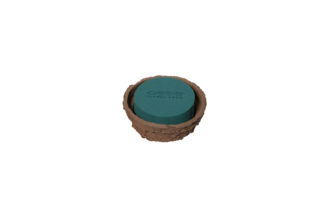 Oasis Biolit Schale
