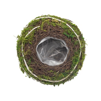 Reben Pflanzschale Mossy