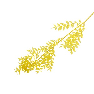 Ruskus