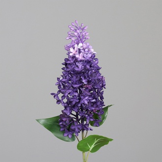 Kunststoff Flieder Claude