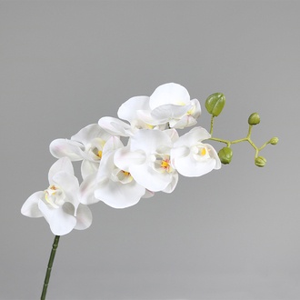 Kunststoff Phalaenopsis Ava