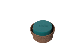 Oasis Biolit Schale