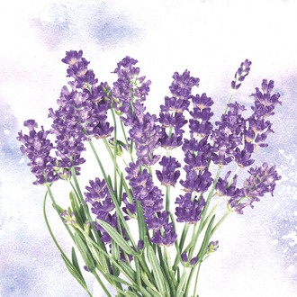 Serviette Lavendel