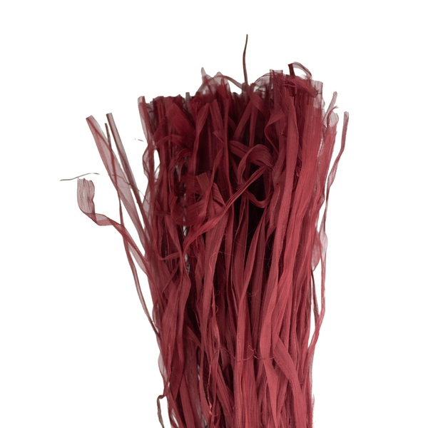 489540_4004031