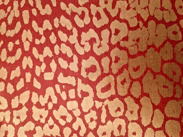 66100_4004455