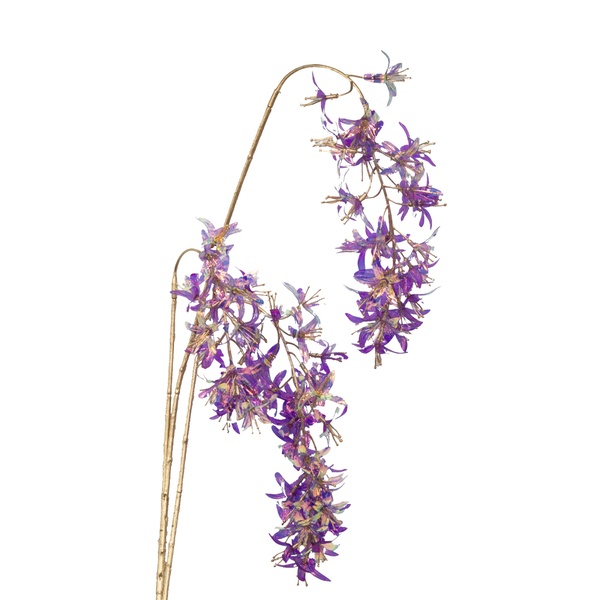 706001_4000921